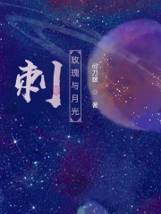 刺:玫瑰与月光全文阅读