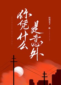 你凭什么是意外全文阅读