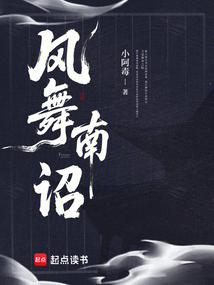 风舞南诏全文阅读