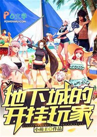 地下城的开挂玩家全文阅读