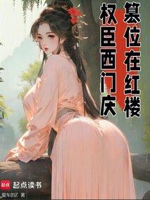 权臣西门庆,篡位在红楼全文阅读