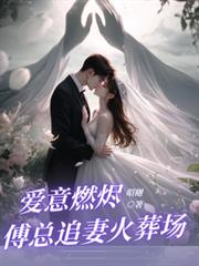 爱意燃尽,傅总追妻火葬场全文阅读