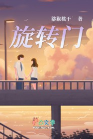 旋转门全文阅读