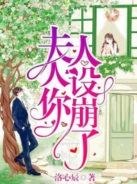 夫人你人设崩了洛心辰全文阅读