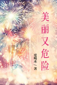 美丽又危险全文阅读