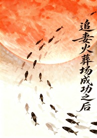 追妻火葬场成功以后全文阅读